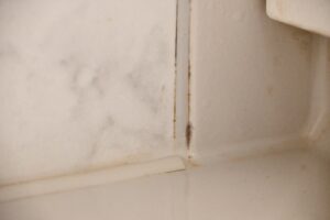 お風呂のしつこいカビを効果的に取り除く方法を解説！さらに、天井やパッキンの掃除テクニックを紹介