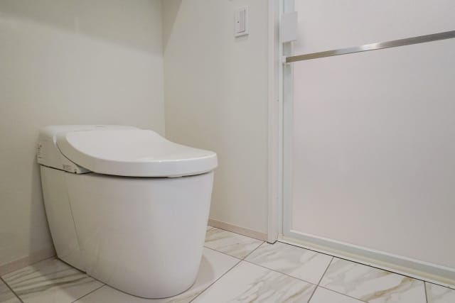 再発防止!一軒家のトイレの流れを良好に保つための予防策