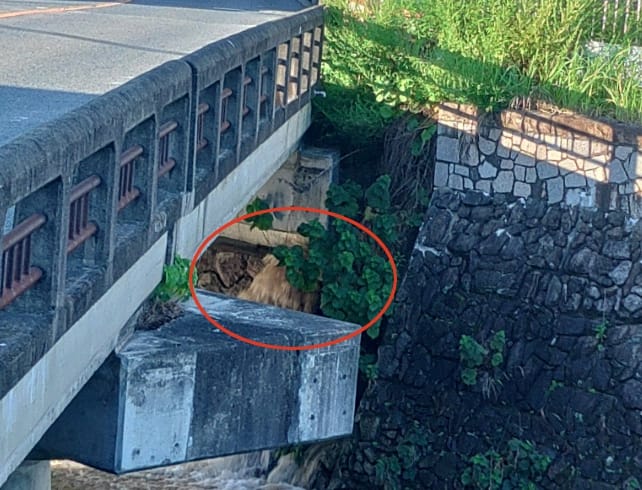 【奈良】桜井市で水道管の破裂 原因は管の老朽化